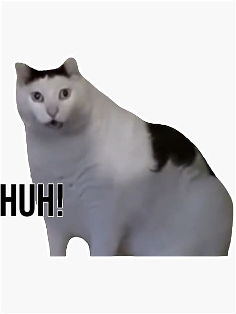 "Huh cat with text" Sticker for Sale by rbuser4 | Redbubble