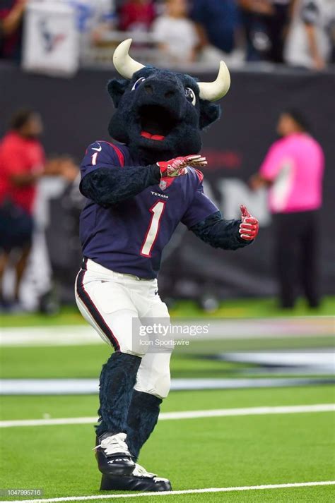 Houston Texans mascot Toro | Mascot, Houston texans, Texans