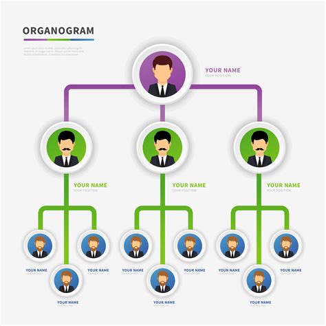 Organogram Vector Art, Icons, and Graphics for Free Download