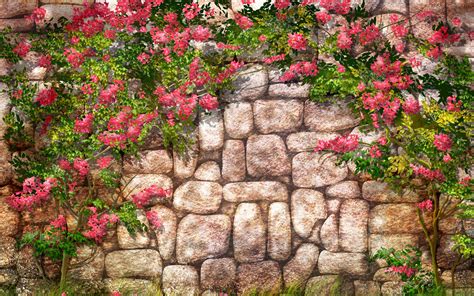 Download Blossom Flower Wall Artistic Fantasy HD Wallpaper