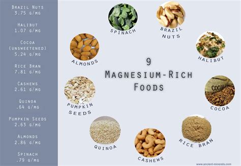 9 Magnesium-Rich Foods | Ancient Minerals