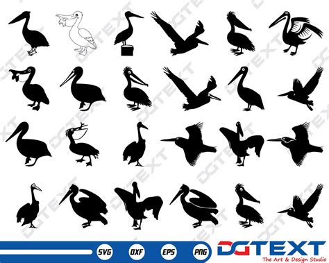 Pelican SVG, Pelican Vector, Silhouette, Cricut File, Clipart, Cuttable Design, Png, Dxf & Eps ...