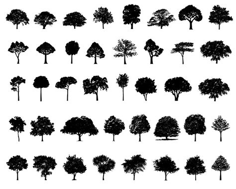 Tree Silhouette SVG Bundle Oak Tree Svg Png Tree Cut Files - Etsy