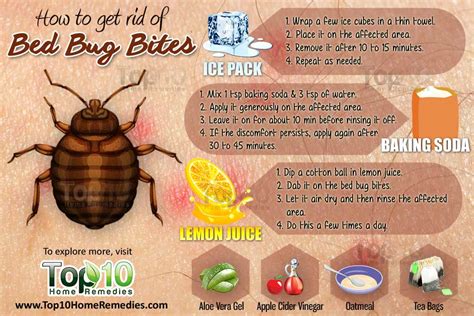 How to Get Rid of Bed Bug Bites - Page 2 of 3 | Top 10 Home Remedies