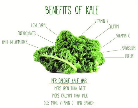 Lisa's Green Plate Blog: Kale & Quinoa Salad