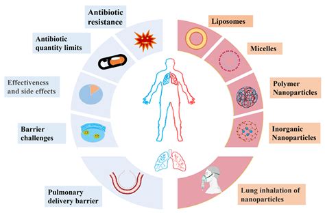 Pneumonia Bacteria Diagram