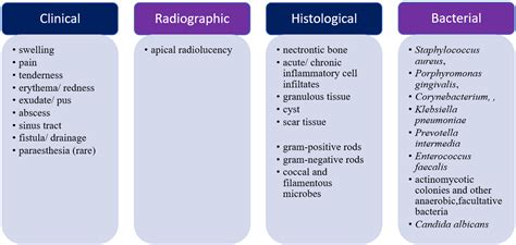 Technologies | Free Full-Text | Implant Periapical Lesion: A Narrative Review