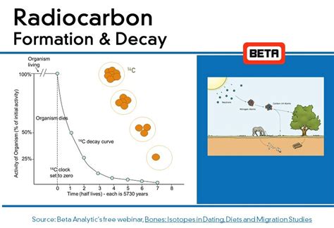 History & Advances in Radiocarbon Dating - Beta Analytic