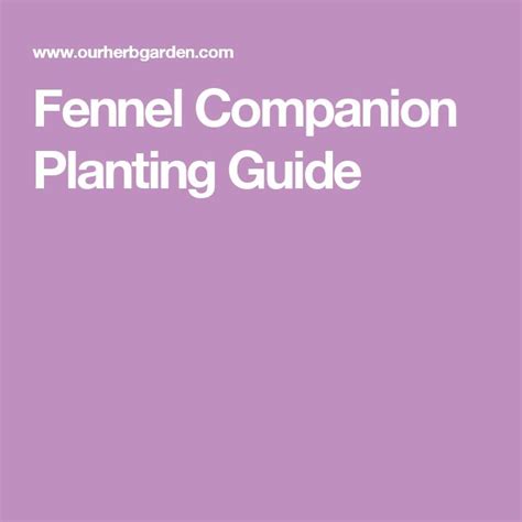 Fennel Companion Planting Guide | Companion planting guide, Fennel, Companion planting