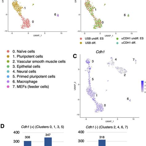 Number of cells detected by multiplex scRNA-seq in undifferentiated and... | Download Scientific ...