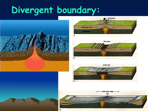 Divergent Plate Examples at Mildred Kirby blog