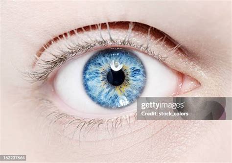 32,888 Sapphire Blue Eyes Stock Photos, High-Res Pictures, and Images - Getty Images