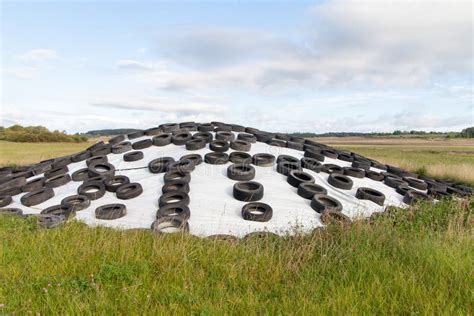 Silage storage. stock image. Image of rural, land, grass - 44048455