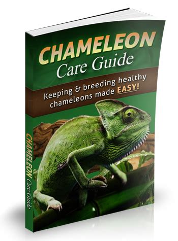 Chameleon Care Guide - Keeping and Breeding Healthy Chameleons Made Easy!