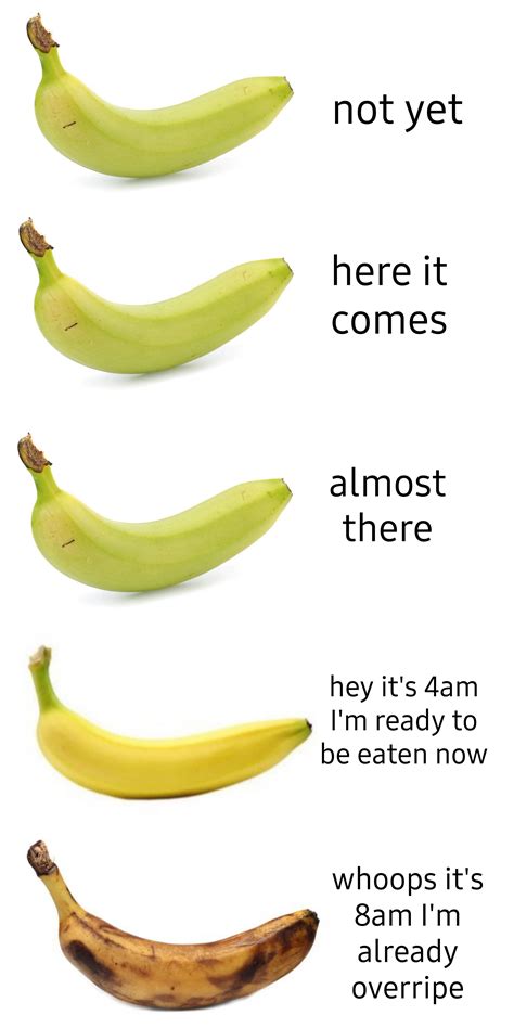 That's bananas : r/memes