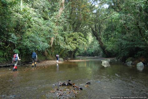 Borneo off road Tours | Kalimantan 4 x 4 Tour Adventure| Orangutan ...