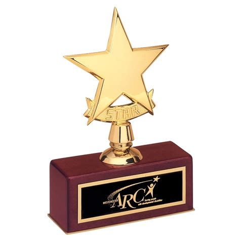 Engraved Small Gold Star Awards