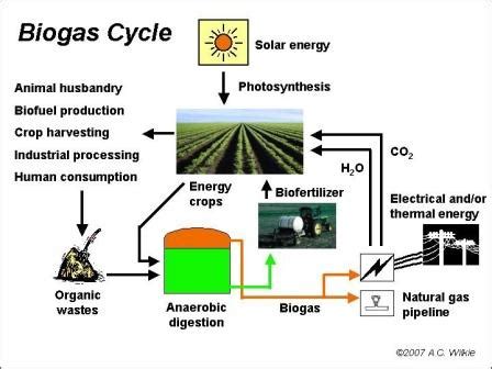 Biogas - Digesters