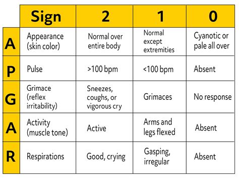 What Is The Apgar Score? - Dixon Verse