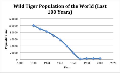 Let's Save Bengal Tigers!: Background Information