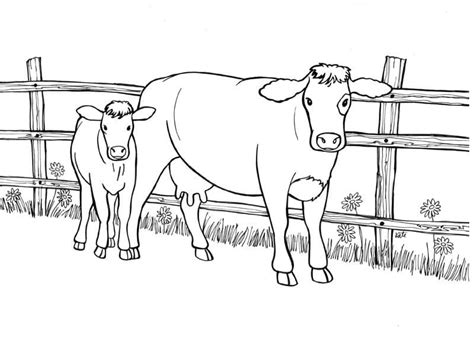 Cow and Calf 1 Coloring Page - Free Printable Coloring Pages for Kids