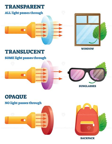 Transparent, translucent or opaque properties explanation vector illustration - VectorMine