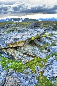 Alpine Tundra Ecosystem - Rocky Mountain National Park (U.S. National Park Service)