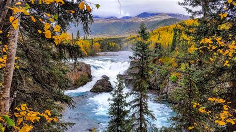 Alaska Fall Colors 2024 - Rove.me