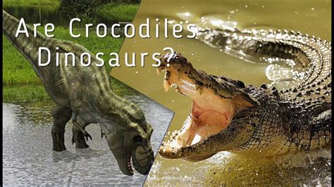 Crocodile Vs Dinosaur