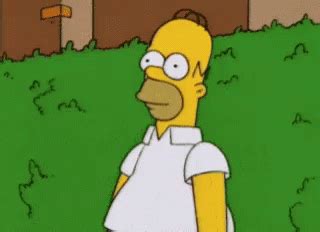 Homer Simpson Meme-GIFs | Tenor