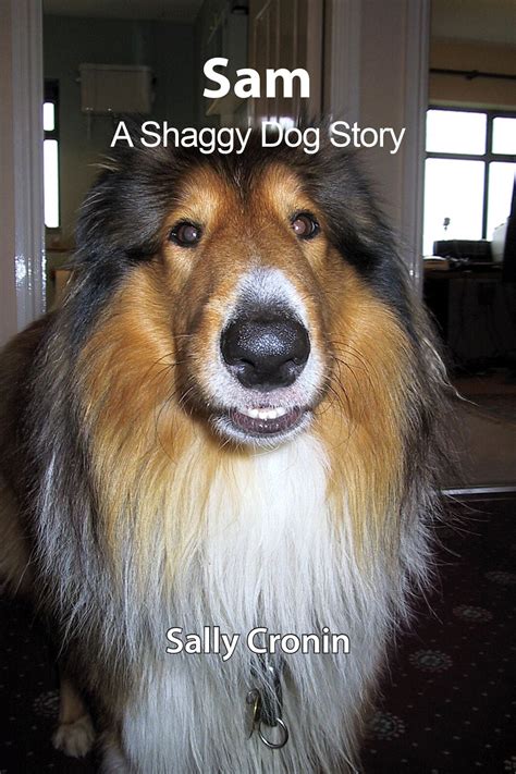 Sam, A Shaggy Dog Story - eBook - Walmart.com - Walmart.com