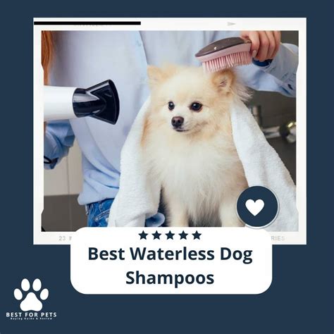 The 15 Best Waterless Dog Shampoos In 2023 - BestForPets