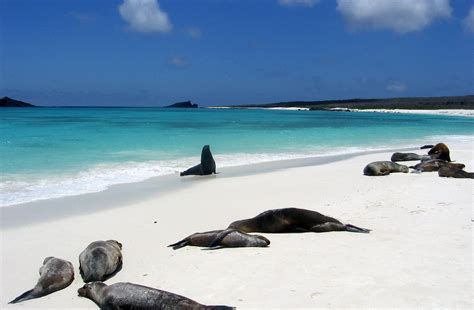 Galapagos Islands Luxury Tour | Luxury Travel Ecuador | Blue Parallel