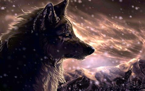 Wolf Drawing Wallpapers - Wolf Background Images