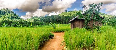 Exclusive Travel Tips for Your Destination Mondulkiri in Cambodia