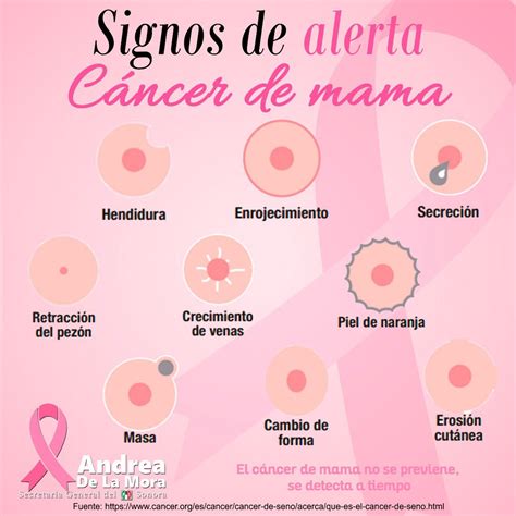 Senales De Cancer De Mama - SEO POSITIVO