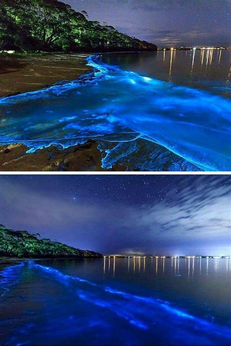 Bioluminescent Bay – Fajardo, Puerto Rico | Bioluminescent bay ...