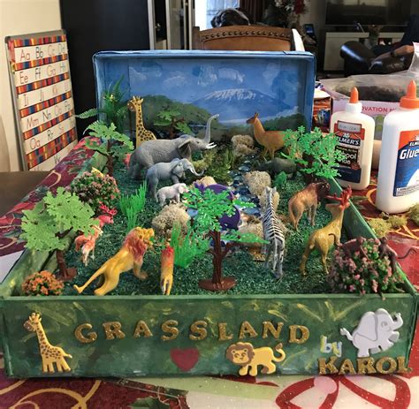 Our Grassland Diorama Science Projects For Kids, School Art Projects, School Crafts, Biomes ...