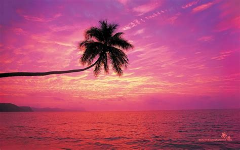 Pink Beach Wallpapers - Top Free Pink Beach Backgrounds - WallpaperAccess