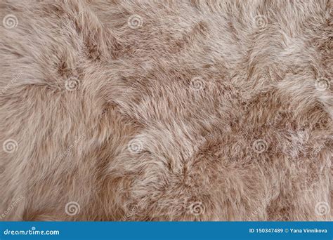 Brown Rabbit Fur Texture, Animal Skin Background Stock Image - Image of decoration, natural ...