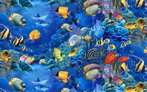 Saltwater Fish Wallpapers - Top Free Saltwater Fish Backgrounds - WallpaperAccess