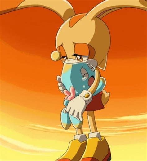 Cream The Rabbit Crying - Amy Rose And Cream The Rabbit Crying Csupo Youtube : Are you going to ...