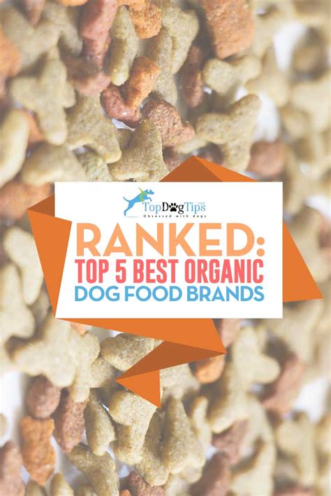 Top 11 Best Organic Dog Food Brands of 2018 (USDA Certified)