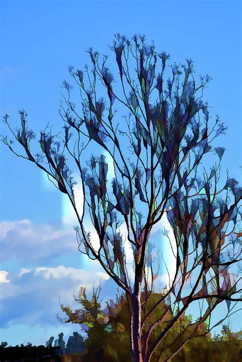 Winter Tree Abstract 3 Digital Art by Linda Brody