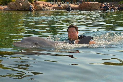 Tad's Rad Discovery Cove Dolphin Swim Experience & FAQ