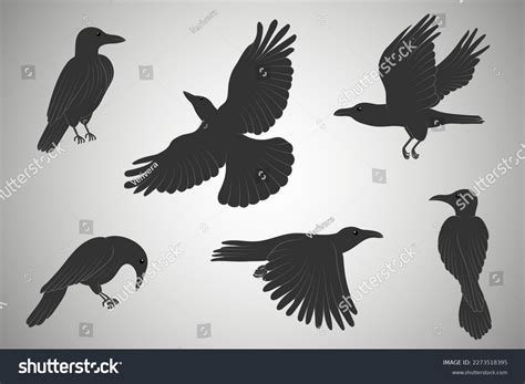 Raven Bird Flying Drawing