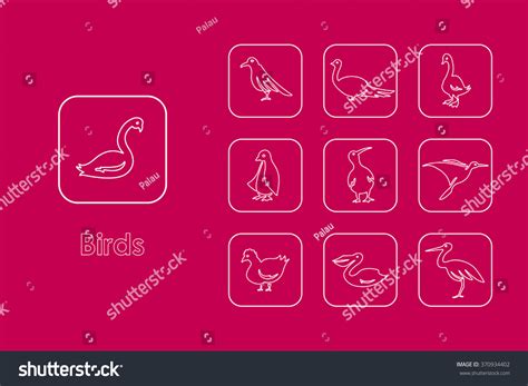 Set Birds Simple Icons Stock Vector (Royalty Free) 370934402 | Shutterstock