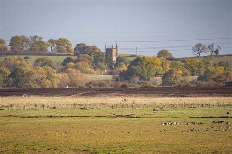 22nd October 2022 – Severn Estuary – Martin's Bird Blog & Nature Photos