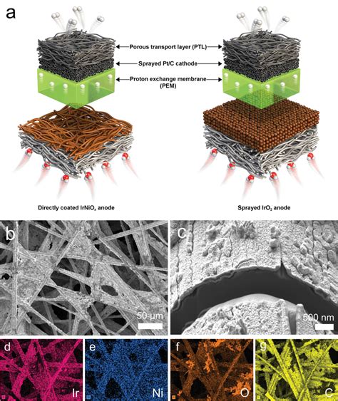 a) Schematic diagrams of proton‐exchange membrane water electrolyzers... | Download Scientific ...