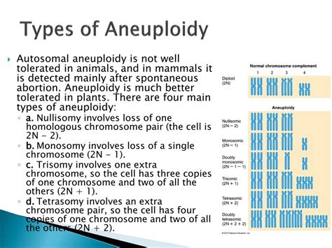 Polyploidy Vs Aneuploidy